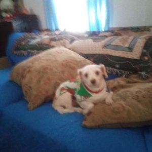 Meet your Posher, Sandra